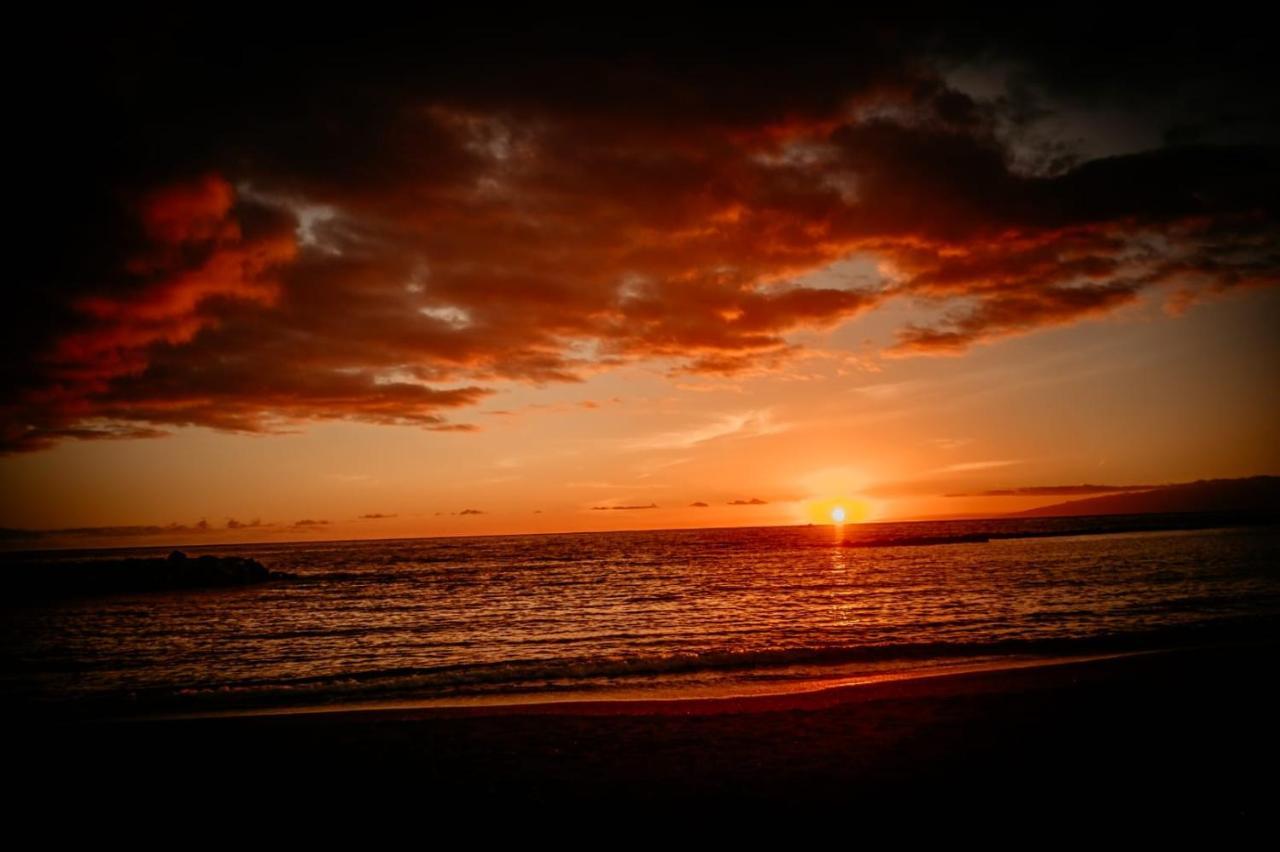 Paradise Tenerife San Miguel de Abona Buitenkant foto