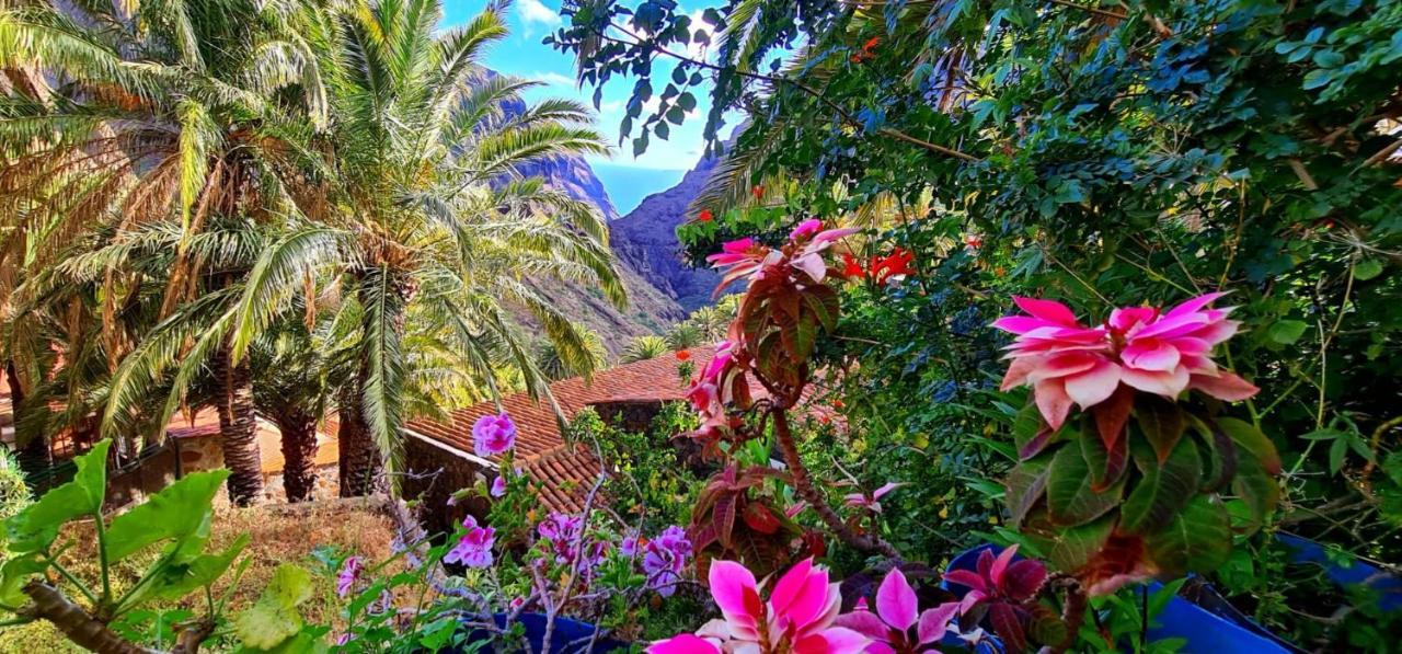 Paradise Tenerife San Miguel de Abona Buitenkant foto